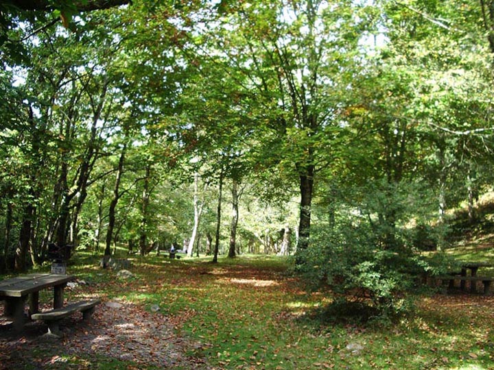 Foto de Piloña (Asturias), España