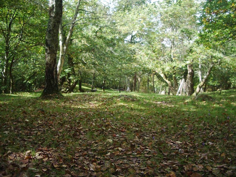 Foto de Piloña (Asturias), España