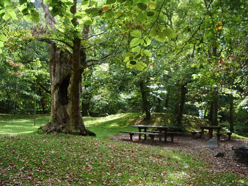 Foto de Piloña (Asturias), España
