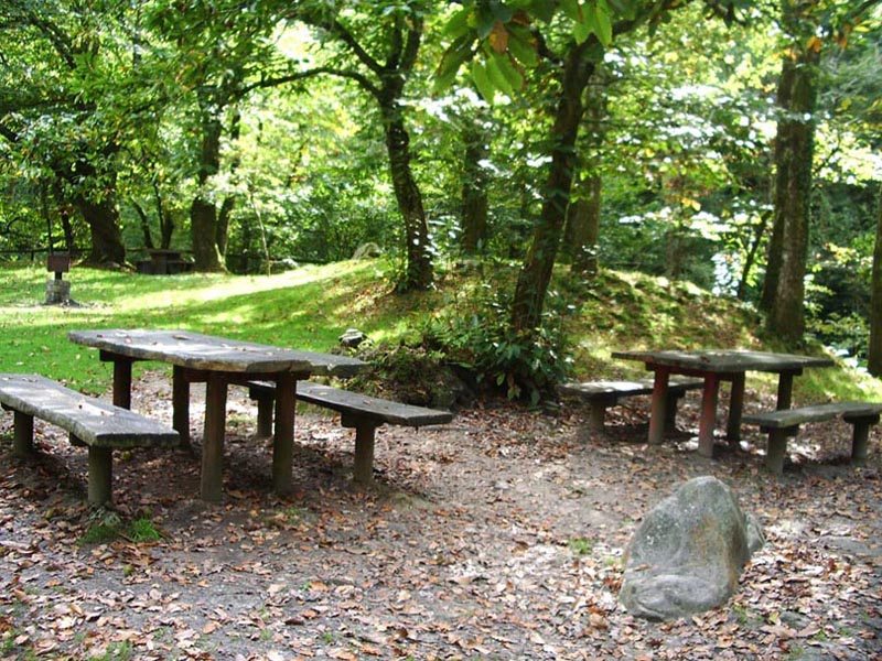 Foto de Piloña (Asturias), España