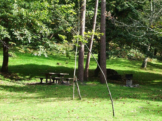 Foto de Piloña (Asturias), España