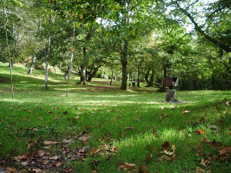 Foto de Piloña (Asturias), España