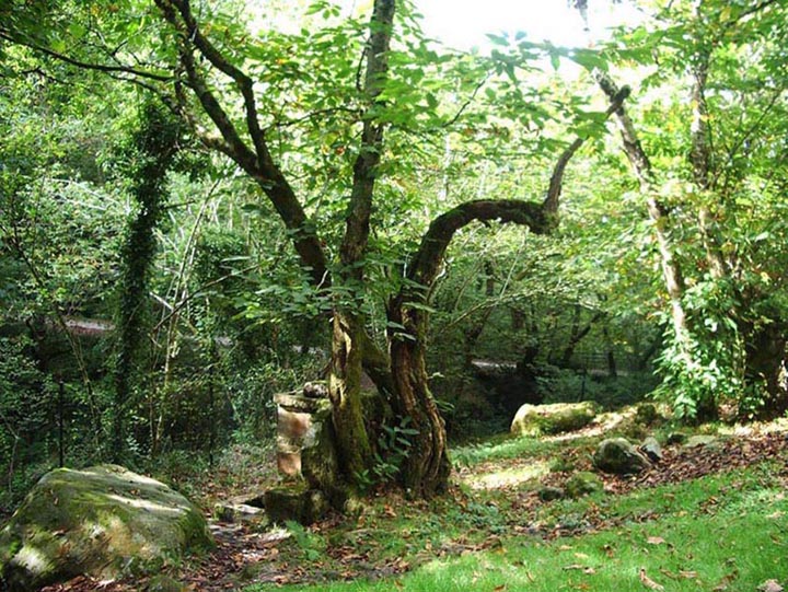Foto de Piloña (Asturias), España