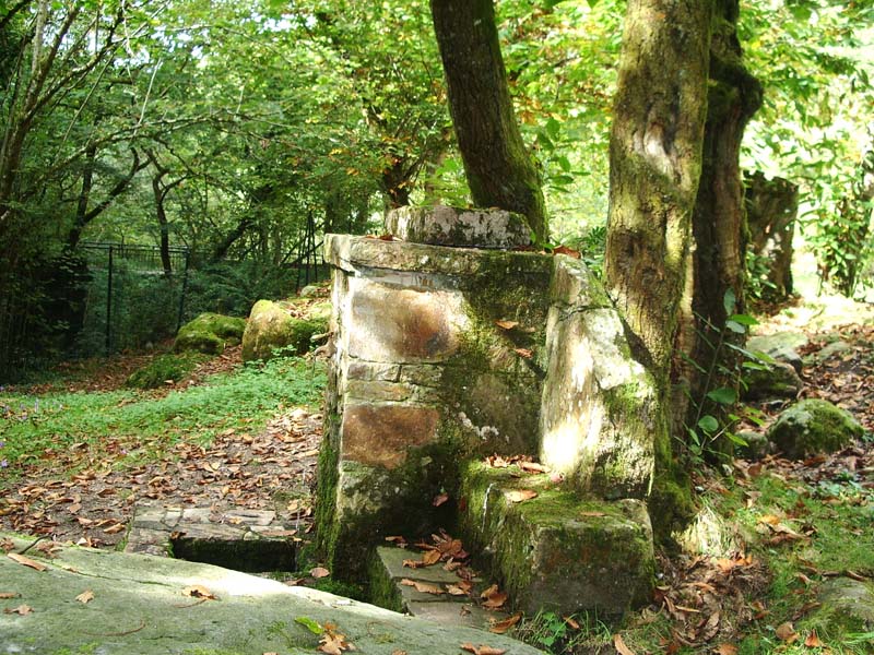 Foto de Piloña (Asturias), España