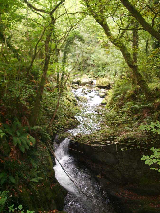 Foto de Piloña (Asturias), España