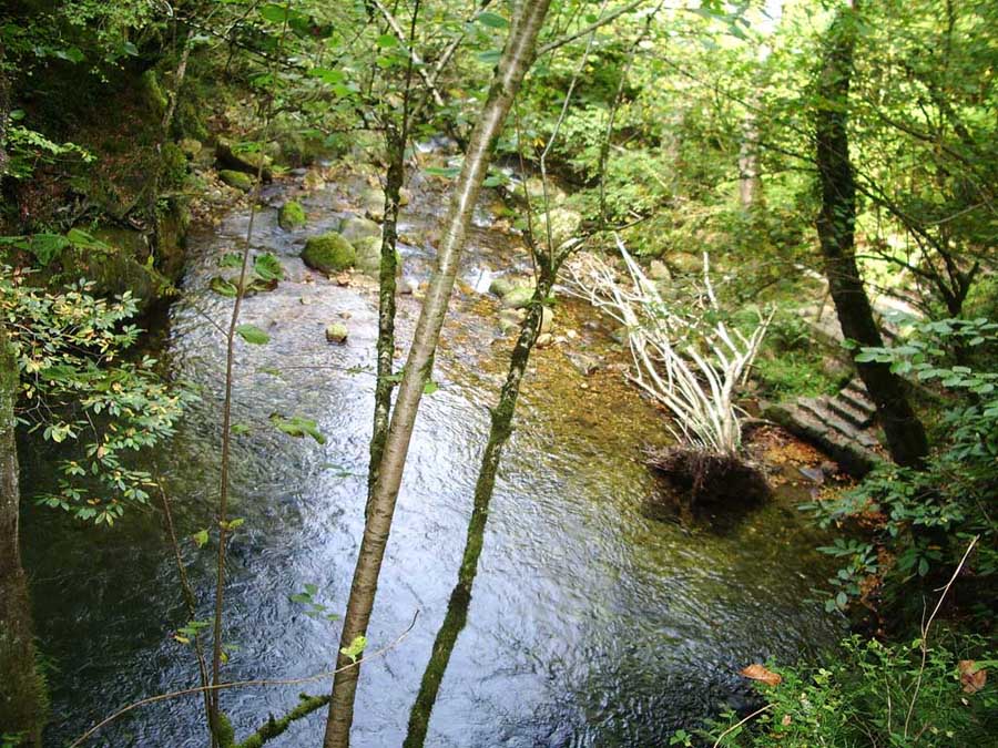 Foto de Piloña (Asturias), España