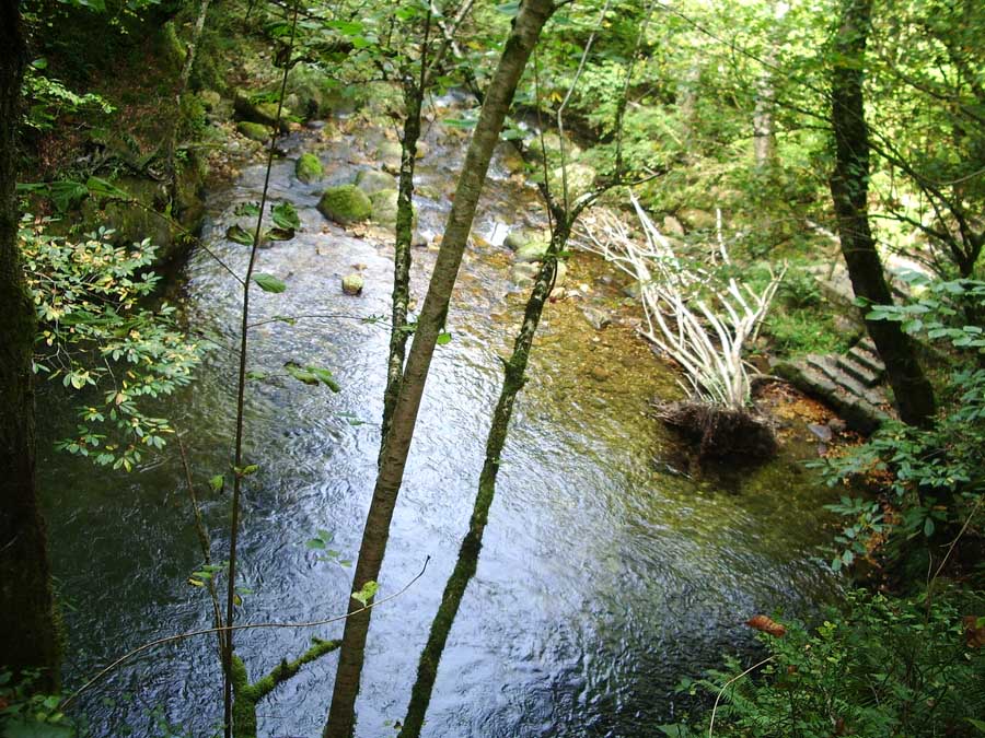 Foto de Piloña (Asturias), España