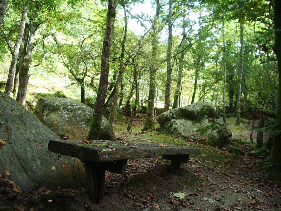 Foto de Piloña (Asturias), España