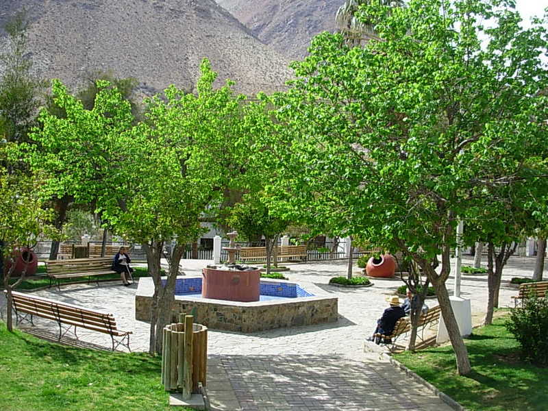 Foto de Monte Grande, Chile