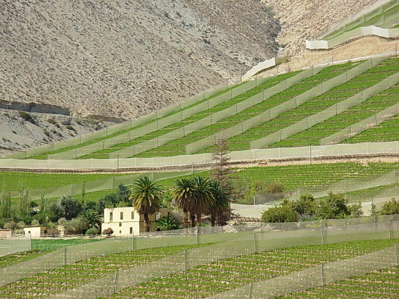 Foto de Cochiguaz, Chile