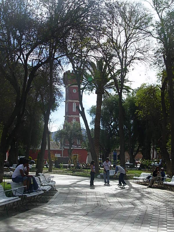 Foto de Vicuña, Chile