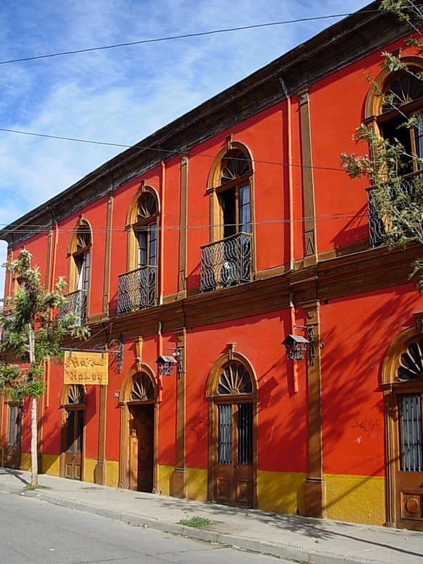 Foto de Vicuña, Chile