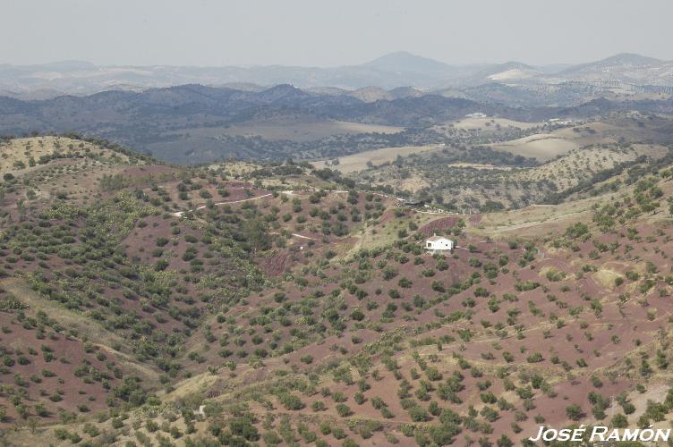 Foto de El Gastor (Cádiz), España