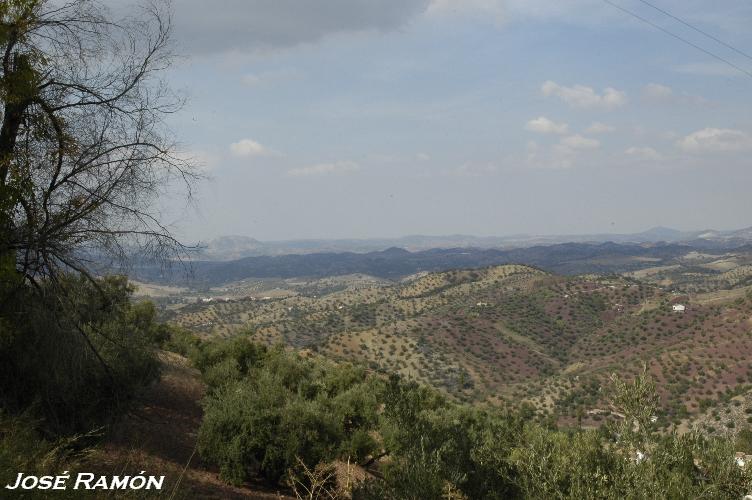 Foto de El Gastor (Cádiz), España