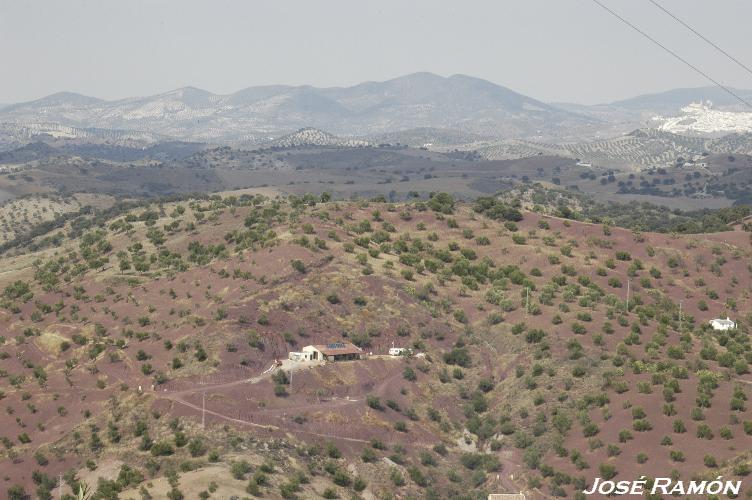 Foto de El Gastor (Cádiz), España