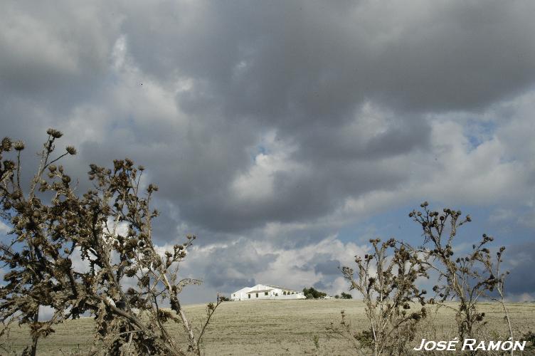 Foto de Jerez de la Frontera (Cádiz), España