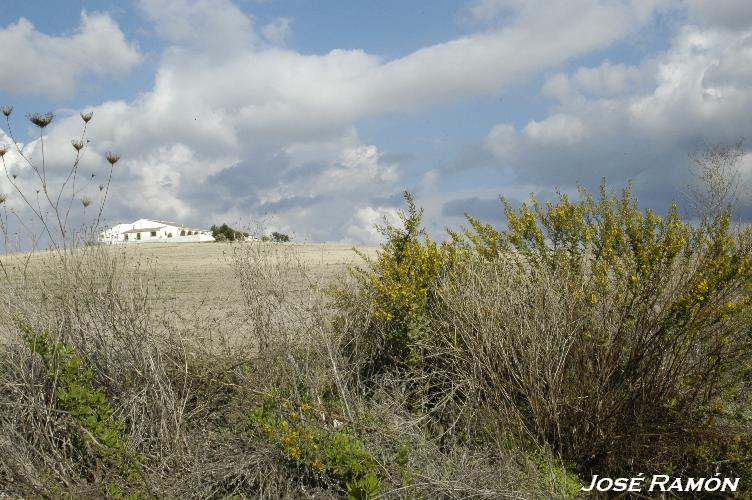 Foto de Jerez de la Frontera (Cádiz), España