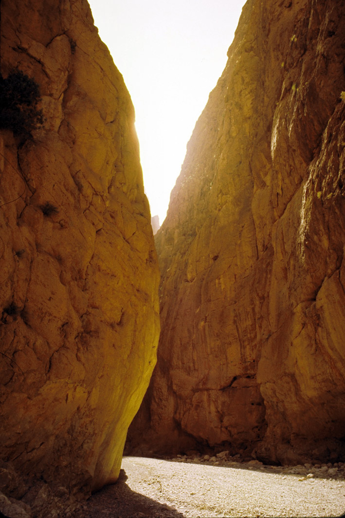 Foto de Tineguir, Marruecos