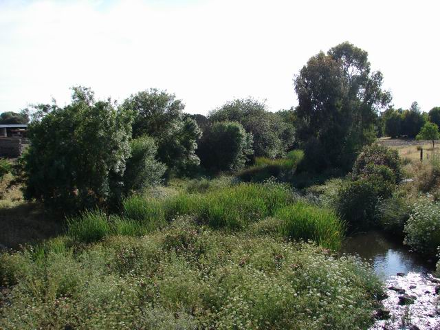 Foto de Aljucén (Badajoz), España