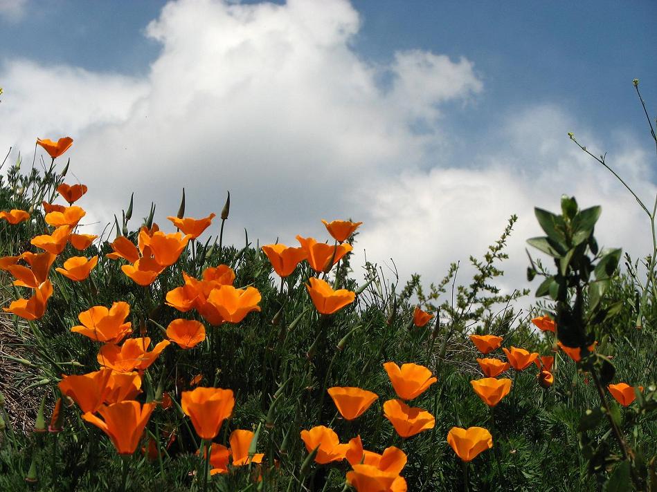 Foto de Santiago, Chile