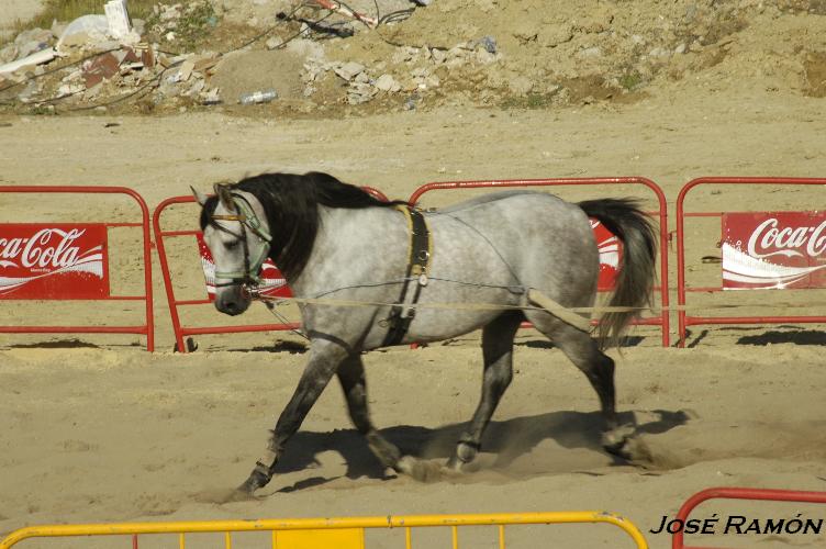 Foto de Trebujena (Cádiz), España