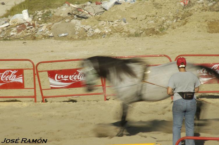 Foto de Trebujena (Cádiz), España