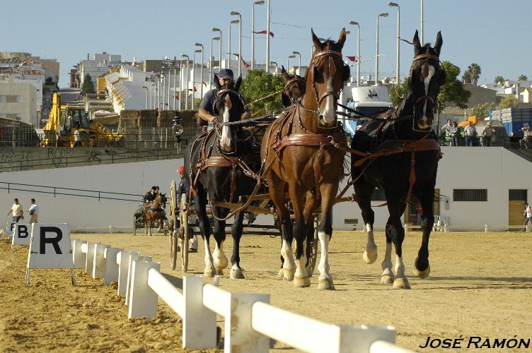 Foto de Trebujena (Cádiz), España