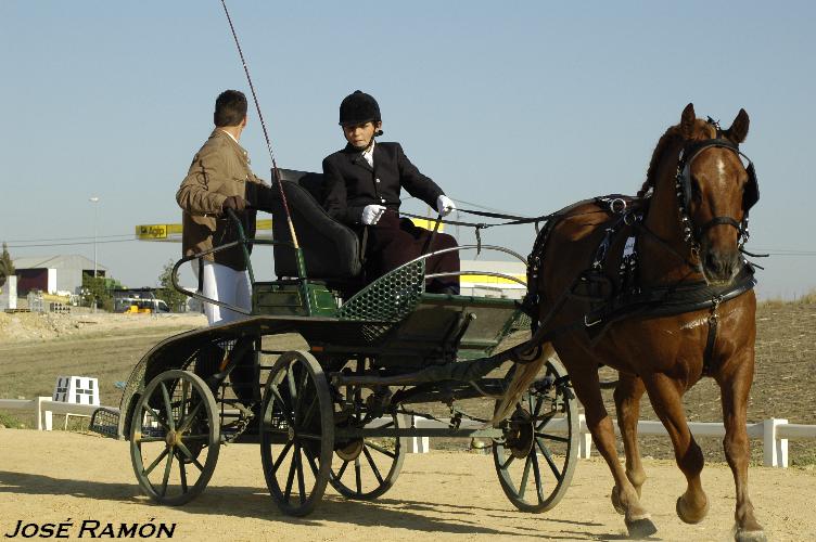 Foto de Trebujena (Cádiz), España