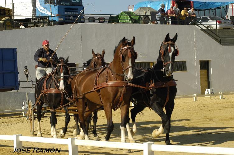 Foto de Trebujena (Cádiz), España