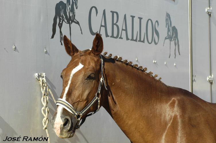 Foto de Trebujena (Cádiz), España
