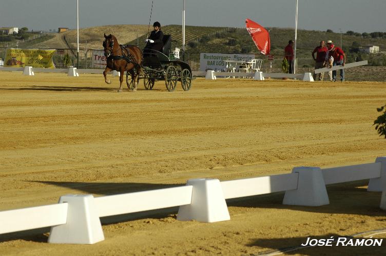Foto de Trebujena (Cádiz), España