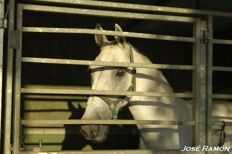 Foto de Trebujena (Cádiz), España