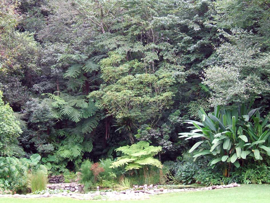 Foto de Xalapa - Veracruz, México