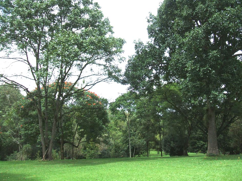 Foto de Xalapa - Veracruz, México