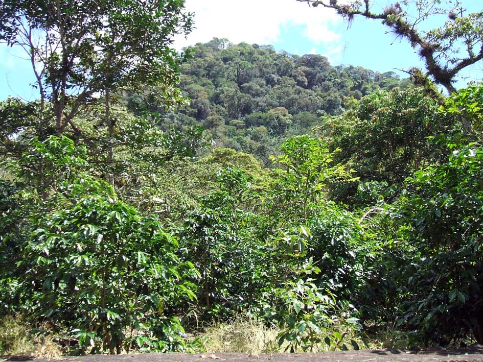 Foto de Xico - Veracruz, México