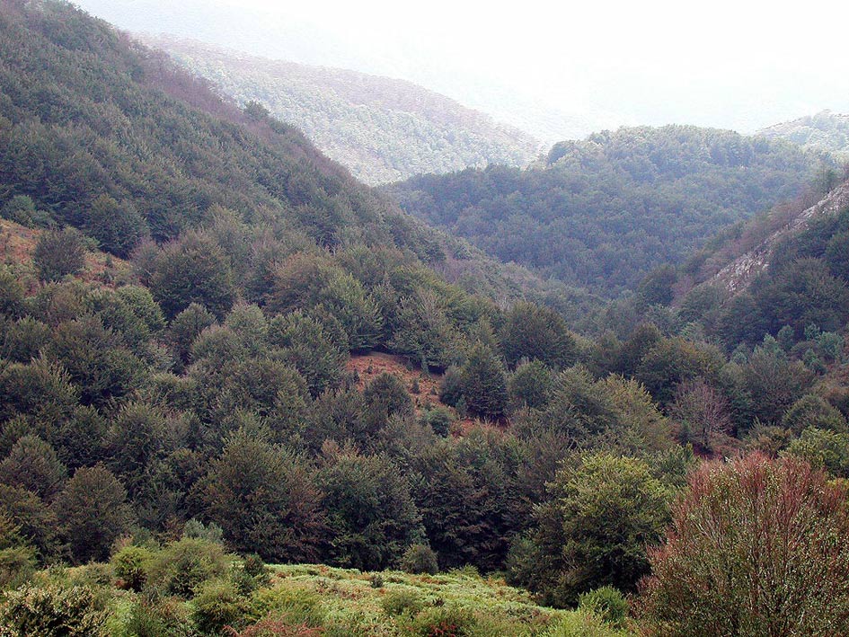 Foto de Sierra de Aralar (Gipuzkoa), España