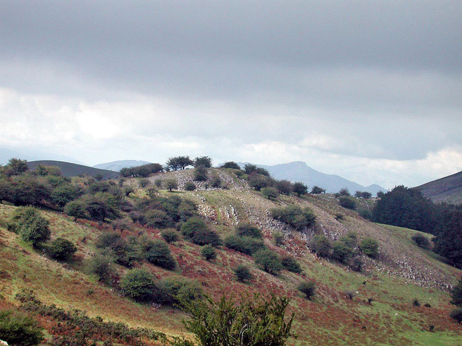 Foto de Sierra de Aralar (Gipuzkoa), España