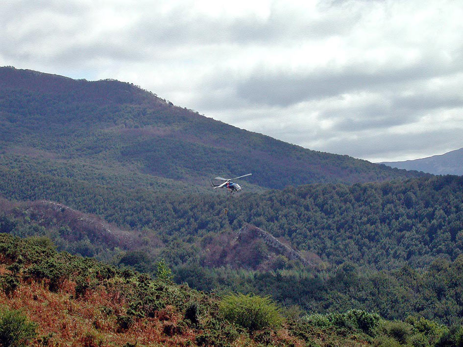 Foto de Sierra de Aralar (Gipuzkoa), España