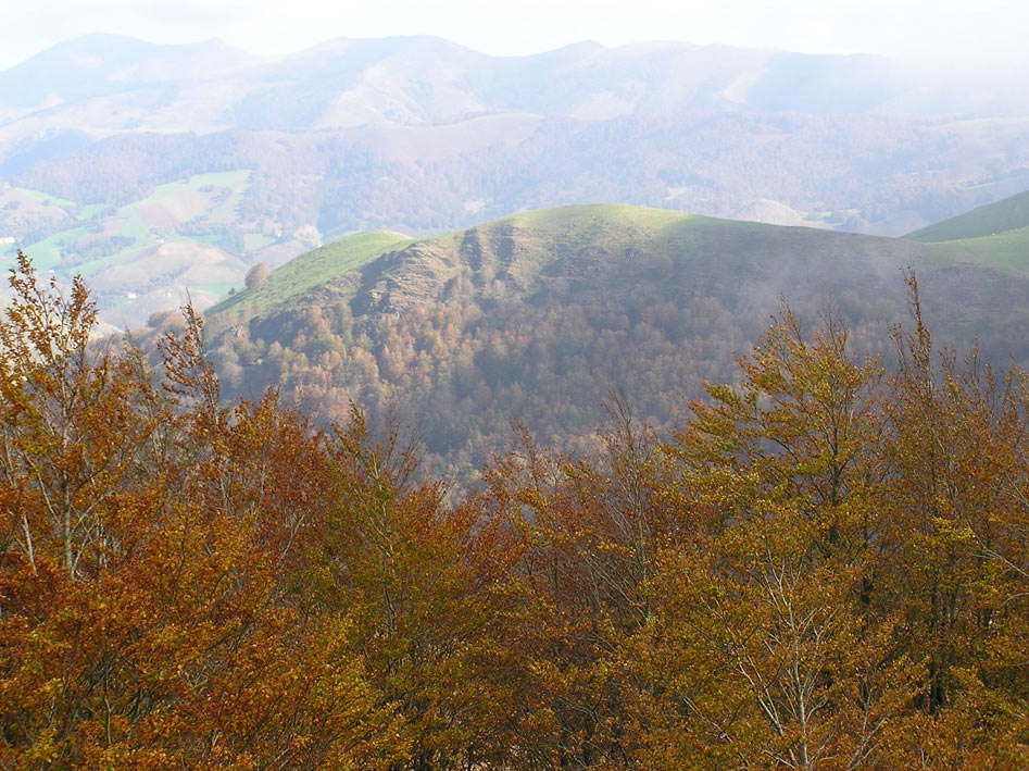Foto de Roncesvalles (Navarra), España
