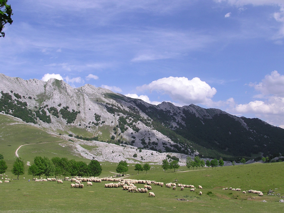 Foto de Urbia (Gipuzkoa), España