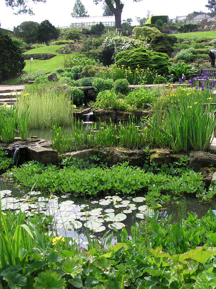 Foto de Wisley - Surrey, El Reino Unido