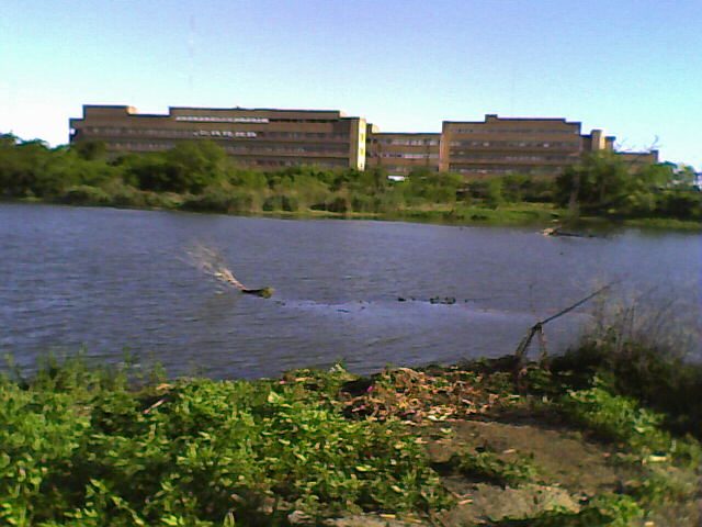 Foto de Santa Fe, Argentina