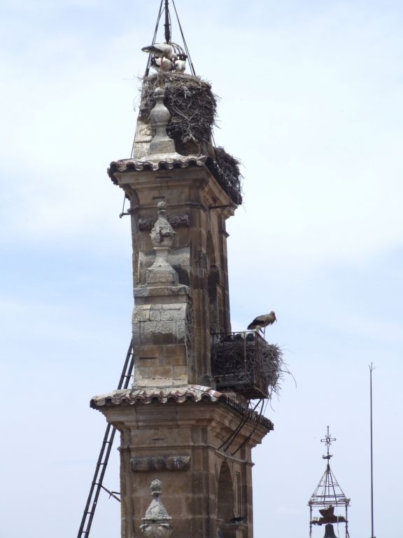 Foto de Salamanca (Castilla y León), España