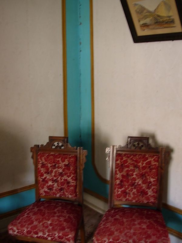 Foto de Vicuña, Chile