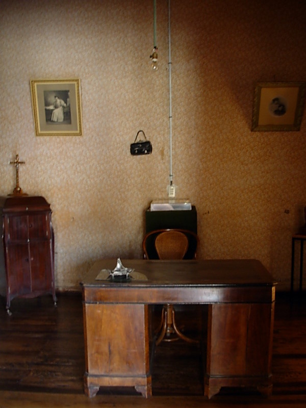 Foto de Vicuña, Chile