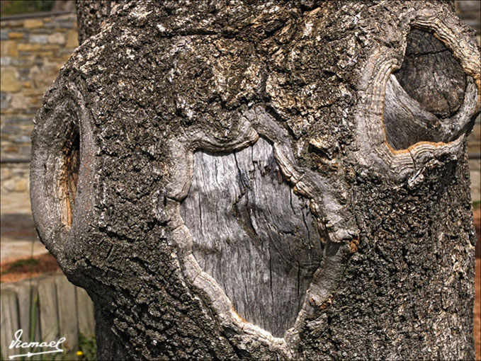 Foto de TAHÜLL (Lleida), España