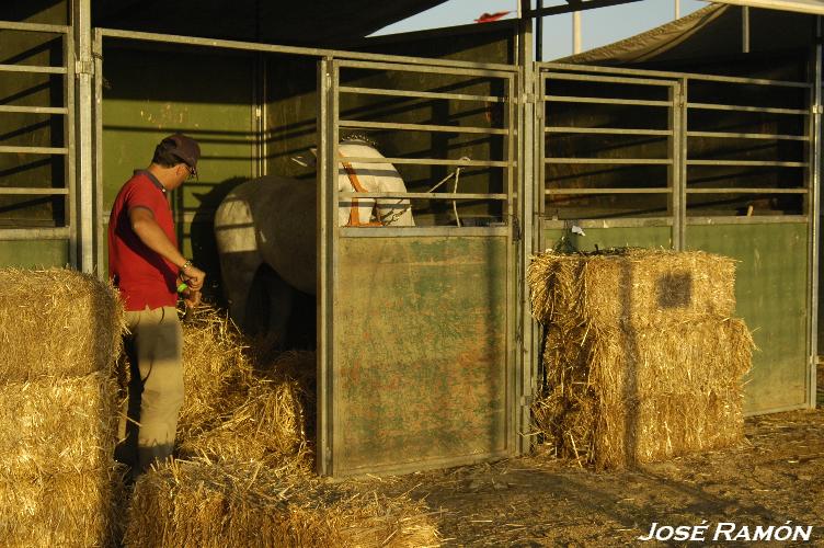 Foto de Trebujena (Cádiz), España