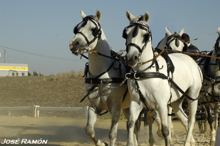 Foto de Trebujena (Cádiz), España