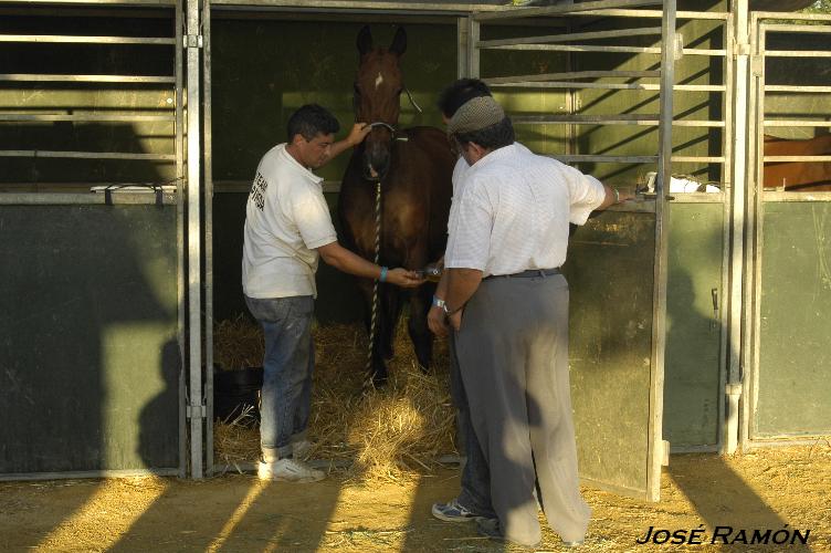 Foto de Trebujena (Cádiz), España