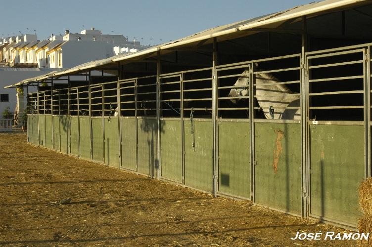 Foto de Trebujena (Cádiz), España